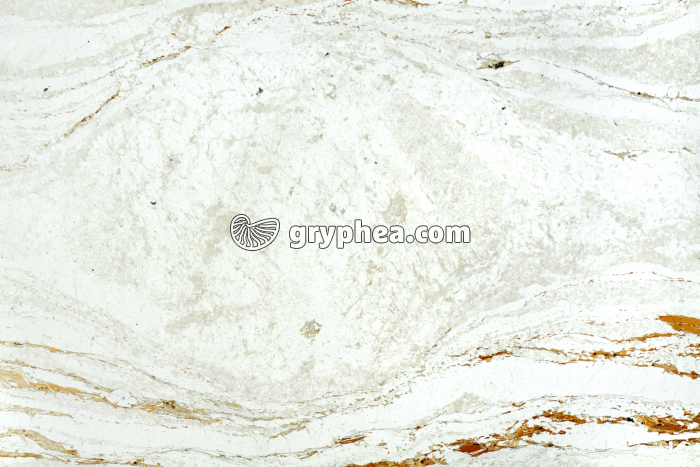 Gneiss oeillé LPNA x1,5 - gryphea.org